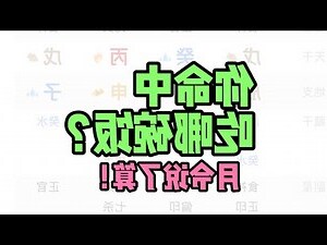 星座 八字